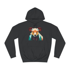 Woman's College Hoodie - Jesus is KING